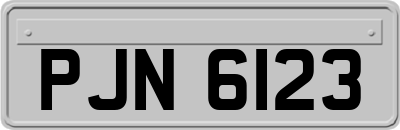 PJN6123