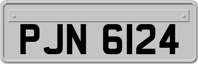 PJN6124