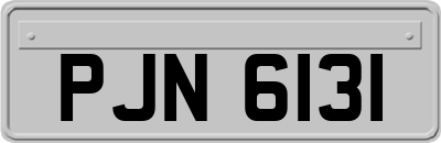 PJN6131