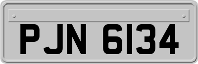 PJN6134