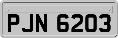 PJN6203