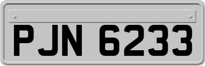 PJN6233