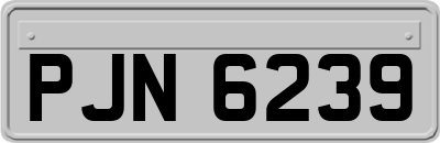 PJN6239