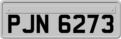 PJN6273