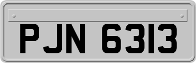 PJN6313