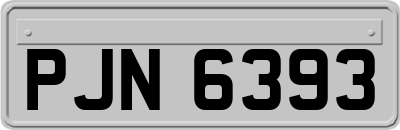 PJN6393