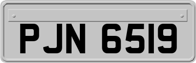 PJN6519