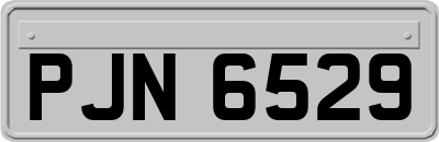 PJN6529