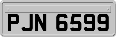PJN6599
