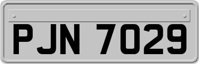 PJN7029
