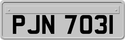 PJN7031