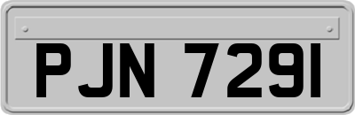 PJN7291
