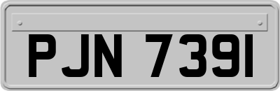 PJN7391