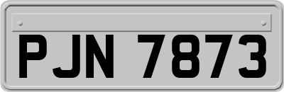 PJN7873