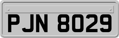 PJN8029