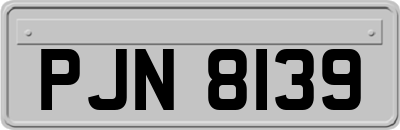 PJN8139
