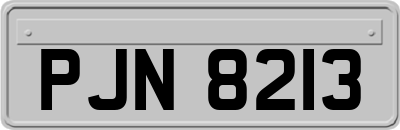PJN8213