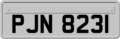 PJN8231
