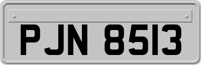 PJN8513