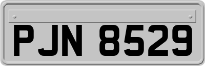 PJN8529