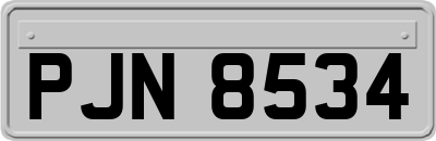 PJN8534