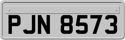 PJN8573