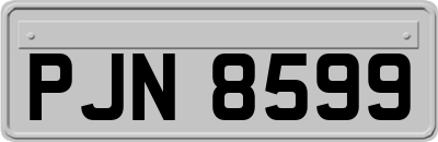 PJN8599