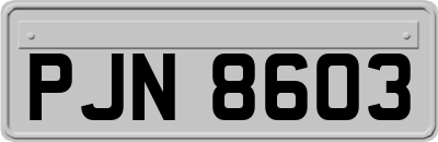 PJN8603