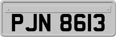 PJN8613