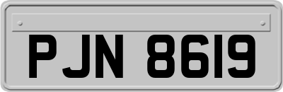PJN8619