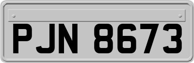 PJN8673
