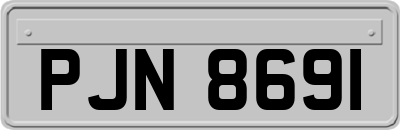 PJN8691
