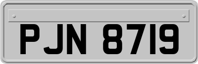 PJN8719