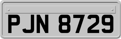 PJN8729