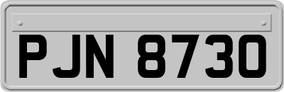 PJN8730