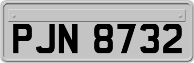 PJN8732