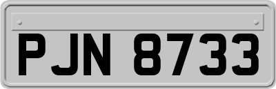 PJN8733