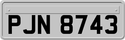 PJN8743