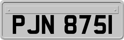 PJN8751