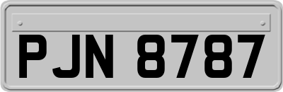 PJN8787