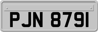 PJN8791