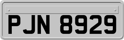 PJN8929