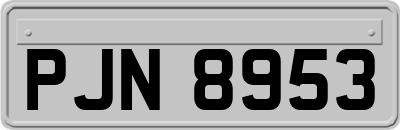 PJN8953