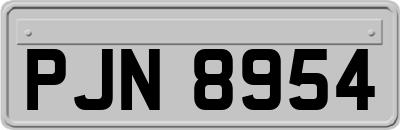 PJN8954