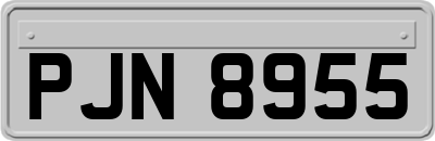 PJN8955