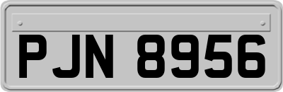 PJN8956