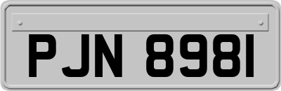 PJN8981