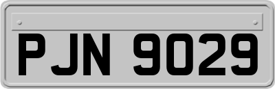 PJN9029
