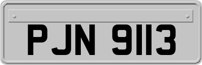 PJN9113