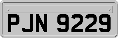 PJN9229